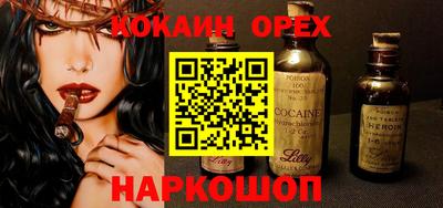 крисы Моздок