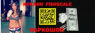 крисы Моздок