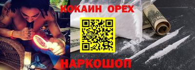 крисы Моздок