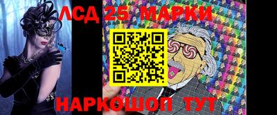 крисы Моздок