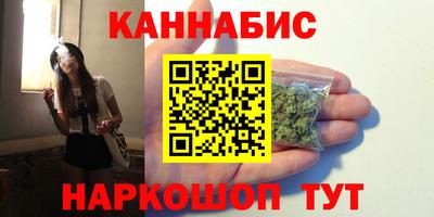 крисы Моздок