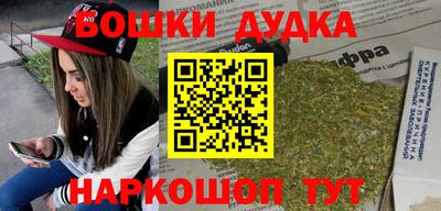 крисы Моздок