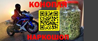 крисы Моздок