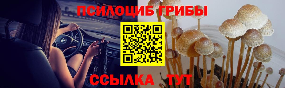 Псилоцибиновые грибы прущие грибы Рославль